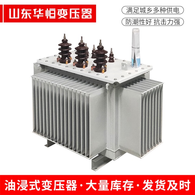 S13-10000/35东阿东阿东阿油浸式变压器厂家